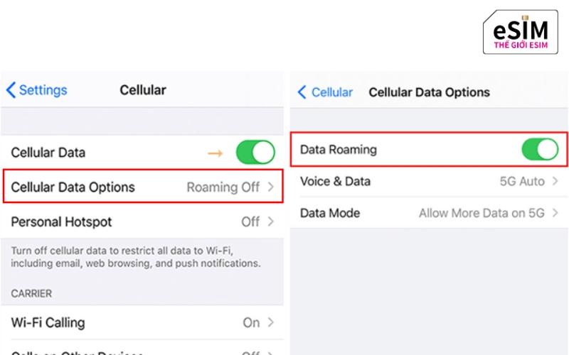 Kích hoạt tính năng Chuyển vùng dữ liệu là bước quan trọng nhất giúp eSIM du lịch kết nối mạng.